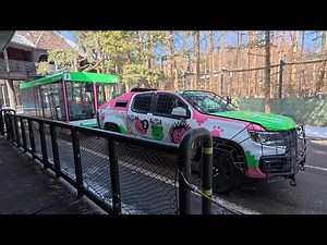 Everland Safari World Wild Tram Ride Video on a Snowy Day - SAFARI World (POV) Everland
