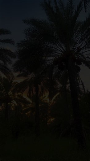 ‏فضلك بل تمر ما يوصل لتمري 💔👌.!#تصويري_احترافي_الاجواء👌🏻🕊😴