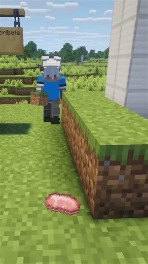 El mejor mod de minecraft #minecraft #meme #memes #humor