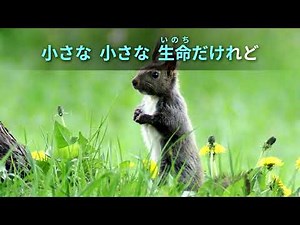 聖歌2部12番「小さな生命」 【世界平和統一家庭連合】