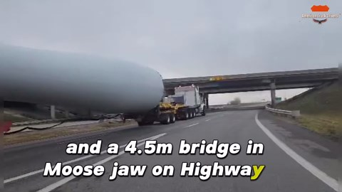 There's no way that fits - watch this skilled driver prove everyone wrong