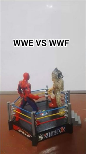 WWE VS WWF