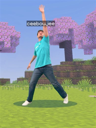 Who Put That Creeper There? Minecraft Funny Moment