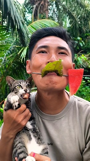 Food Asmr Cat #shorts #food #mukbang #cat