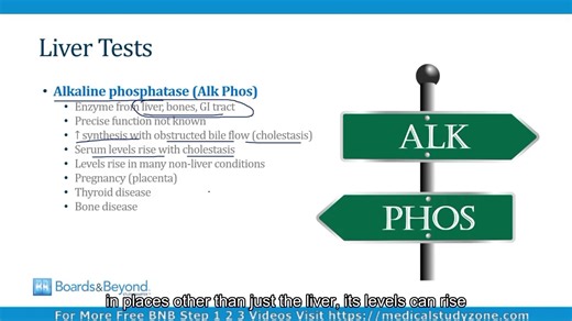 [胃肠病学|肝功能检查与急慢性肝脏疾病指南]-[Gastroenterology|Liver Disease]-(BNB Step2/3|081)