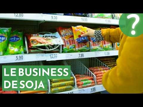 Soja, une menace pour l'Amazonie?