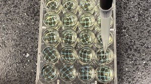 Sewing sustainability: Textiles lead the way to a greener future