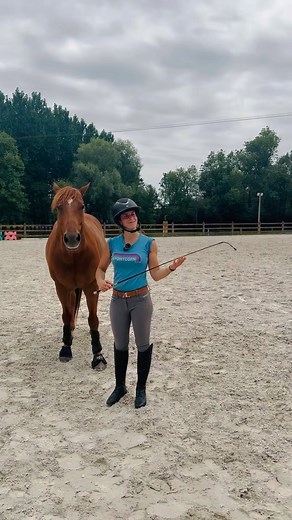 Comment bien se servir d’une cravache ou d’un stick ❔ feat. ​⁠ @andy_booth_officiel 👑✨ #equitation #cheval #equestrian #horserider | PonyCorn le blog