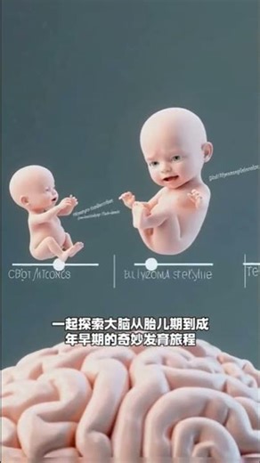 “Watch How the Human Brain Evolves 🧠 #Shorts#YouTubeShorts#ViralShorts#Reels#TrendingNow#ExplorePage