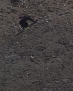 4.3K views · 80 reactions | Switch 12s simply do not get much better than this. Mac Forehand making it look easy... Find this and much more in this week’s edition of the Rundown, live now at the link below  https://www.fis-ski.com/en/freestyle-freeski/freeski/news-multimedia/news-multimedia/news/the-rundown-june-12-2021  - U.S. Ski & Snowboard Team #fisfreestyle #freeski #moguls #aerials #skicross #skiing | FIS Freestyle Skiing | Facebook