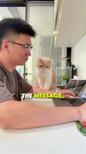 He Tried To Outsmart Tug Of War… And Instantly Regretted It 😂 (@大頭🗯) #funny #shorts