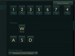 瓦转撸王朝了 这WASD操作系统真适合adc玩家吧