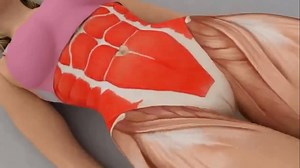 28K views · 666 reactions | BEST HOME ABS WORKOUTS | Strength Of Gym | Facebook