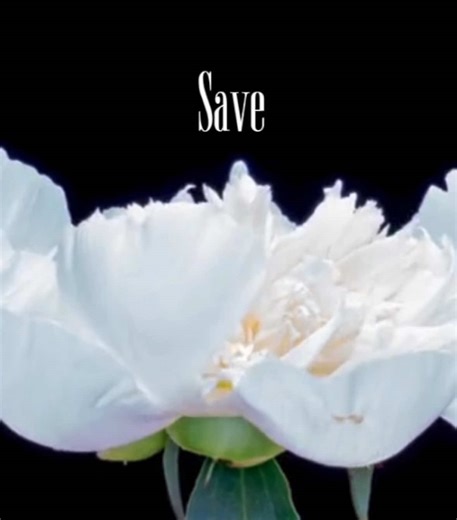 Music for Self-Reflection: Save Yourself