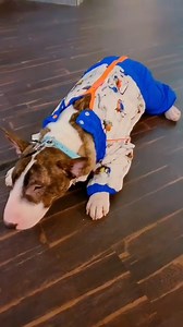 5.7K views · 111 reactions | I won't walk around dressed like that ...