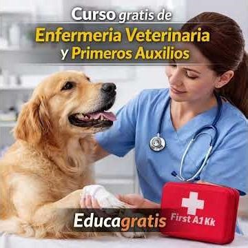 Curso gratis de Enfermería Veterinaria y Primeros Auxilios