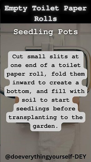 Start Your Garden with Toilet Paper Rolls! DIY Seedling Pots | Get Your Craft Guide Here!