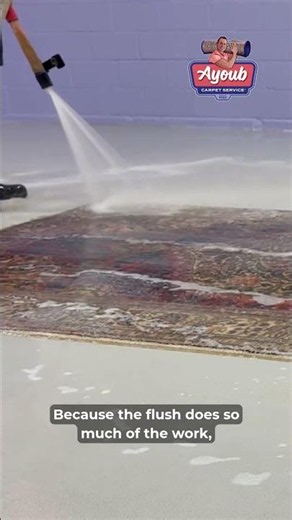 A better rug clean starts with skilled hands, not harsh shampoo...