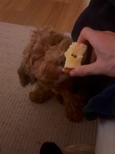 thomas doherty on Instagram: "50 shades of beige"