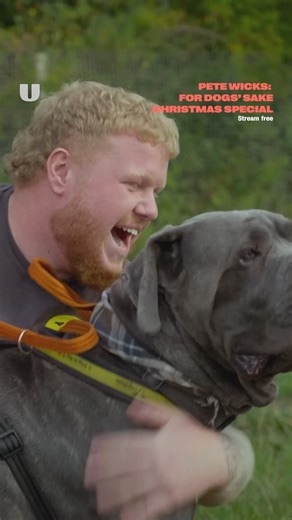 Yes, we cried watching this 🥹 Stream Pete Wicks: For Dogs' Sake Christmas Special free on U. | StreamOnU
