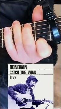‘Catch The Wind’ Donovan - Guitar Chords (Standard - Capo 3)