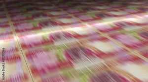 Iraq Dinar money sheet printing. IQD banknotes loop print. Seamless and looped background concept of finance, economy crisis, inflation and business.