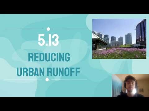 APES Video Notes 5.13 - Reducing Urban Runoff