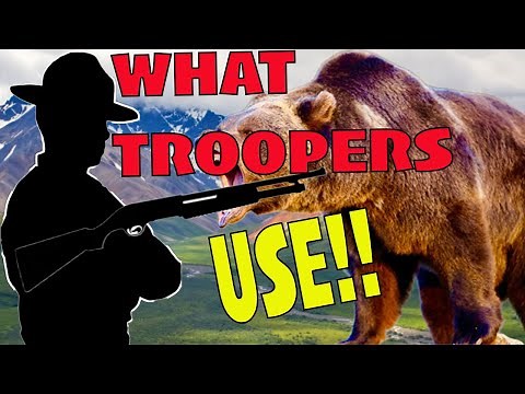 The 12 Gauge Slugs Alaska State Troopers Take Bears Down With | And What's Now Being Offered!!