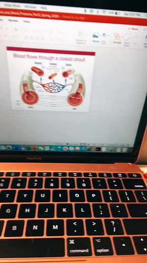 Effective Study Tips for Nursing Students in Pathophysiology