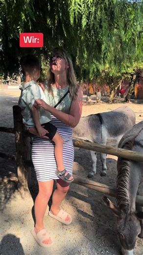 Michelle & Pascal on TikTok