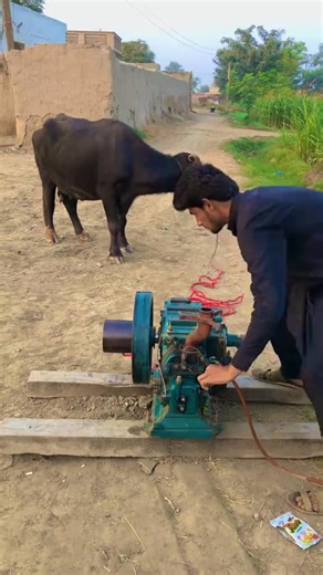 255K views · 919 reactions | diesel engine start with buffalo exp | Punjab Diy | Facebook
