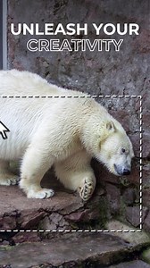 Take us for a spin. Try Shutterstock for free and get any 10 images from a library of over 320 million photos, illustrations, and vectors. | Shutterstock