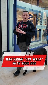 161K views · 3K reactions | All right, listen up: If your dog isn’t...