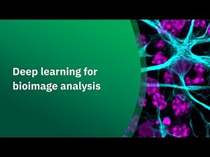 Deep learning for bioimage analysis