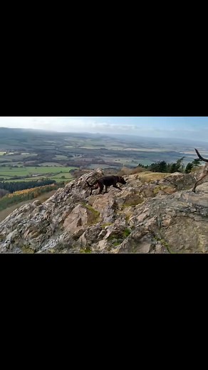 Mike Branson on Reels