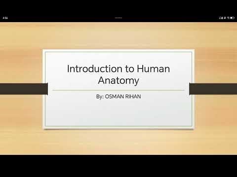 Introduction to human anatomy lesson 1