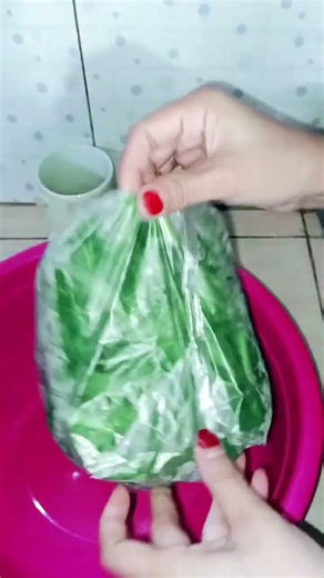 tumis kangkung #kegiatanmemasak #iburumahtangga #kegiatandirumahaja #cooking #fypシ゚viral