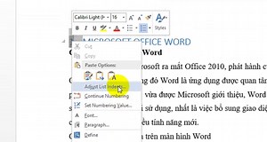 Tạo mục lục hình ảnh trong word 2010 – 2013 - 2016: Thủ thuật Word 1/2026