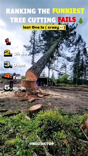 RANKING THE FUNNIEST TREE CUTTING FAILS
