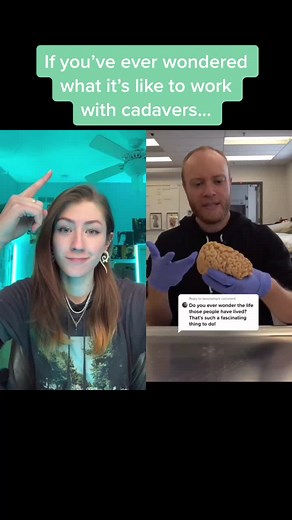 Kate Bacon on TikTok