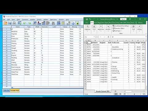 SPSS Basics / How to import excel data