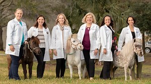 ADAPT program looking to make therapy animals a part of treatment plans