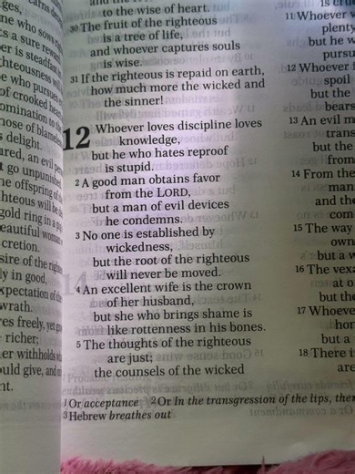 Proverbs 12 #BibleVerse #ChristianShorts #LoFiBeats