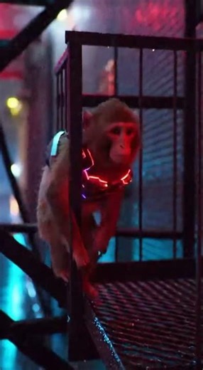 Cybernetic Monkey's Electric Escape #CyberpunkMonkey #SciFiAdventure
