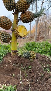 22K views · 31 reactions | cute ☀️⛈ | DIY & Crafts | Facebook