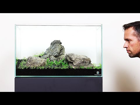 Aquascape Tutorial - 3 Stone Iwagumi