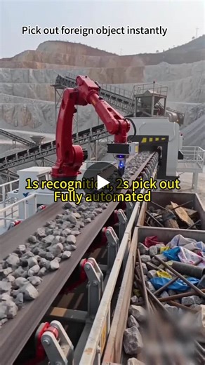 AI Vision System for Real-Time Conveyor Belt Inspection | lulu chen posted on the topic | LinkedIn