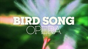 390K views · 11K reactions | The Magic Flute : BIRD SONG OPERA | Nature In Concert | Facebook