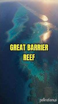 The Great Barrier Reef: A Coral Reef Ecosystem