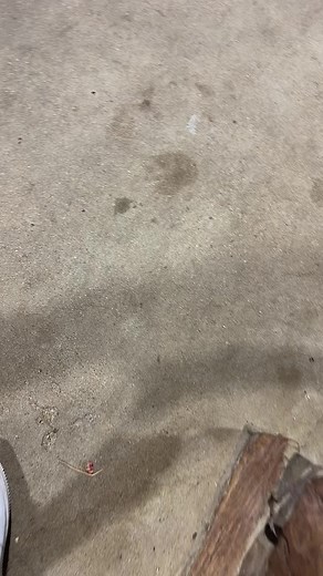 Custom 4Runner SUV Modifications Showcase